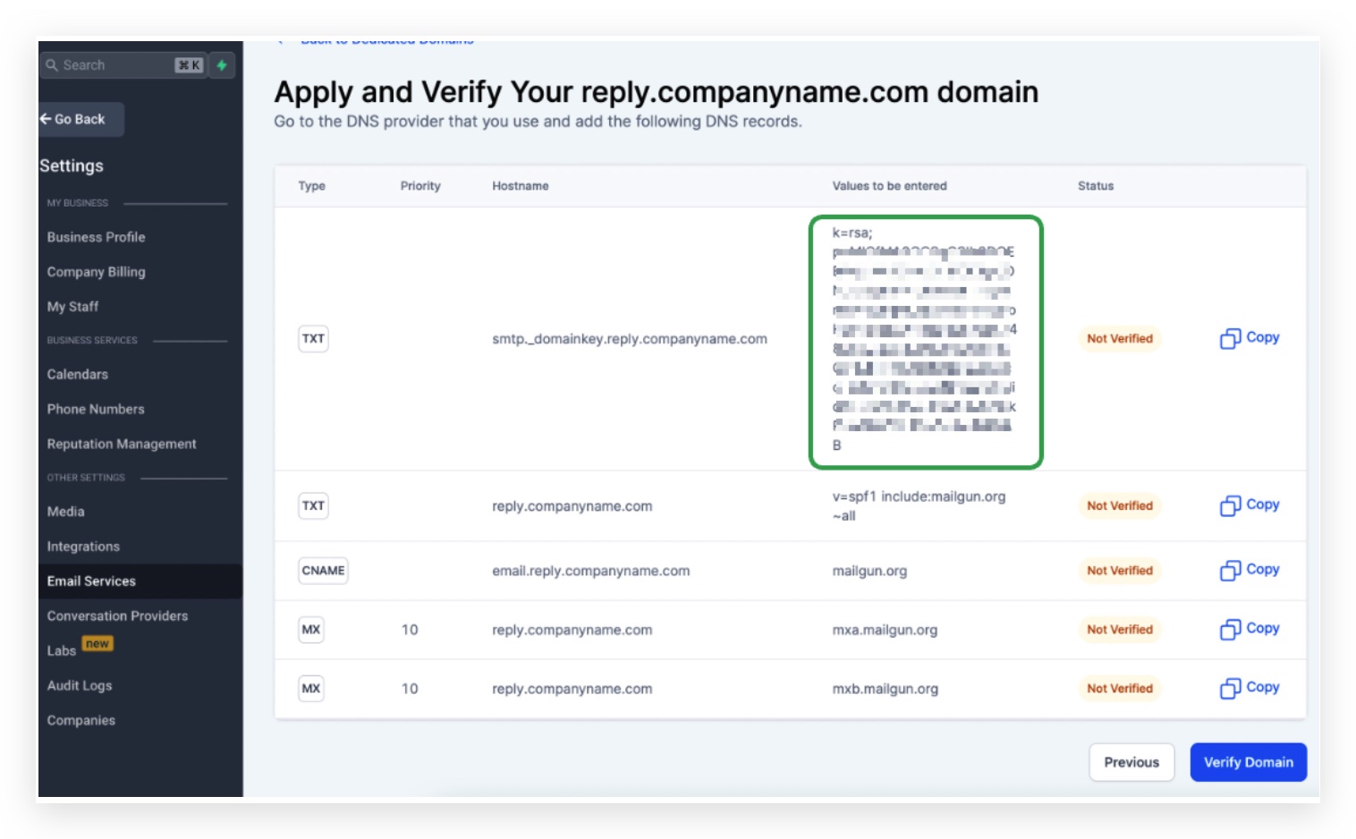 2nd TXT record value highlighted on the platform DNS screen