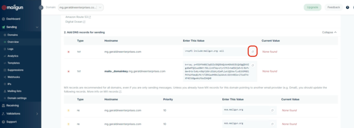 TXT record value field with SPF record pasted