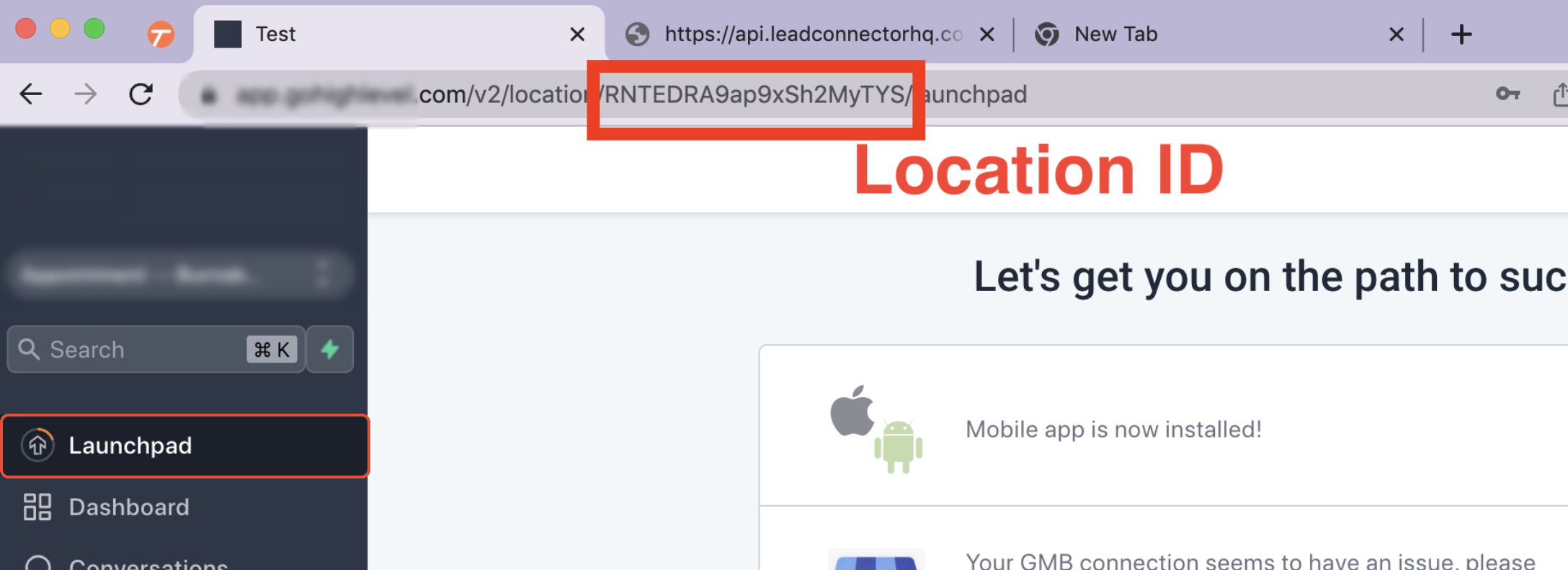 Chat To Clients CRM sub-account URL showing the Location ID