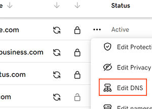 GoDaddy domain portfolio — click three dots then Edit DNS