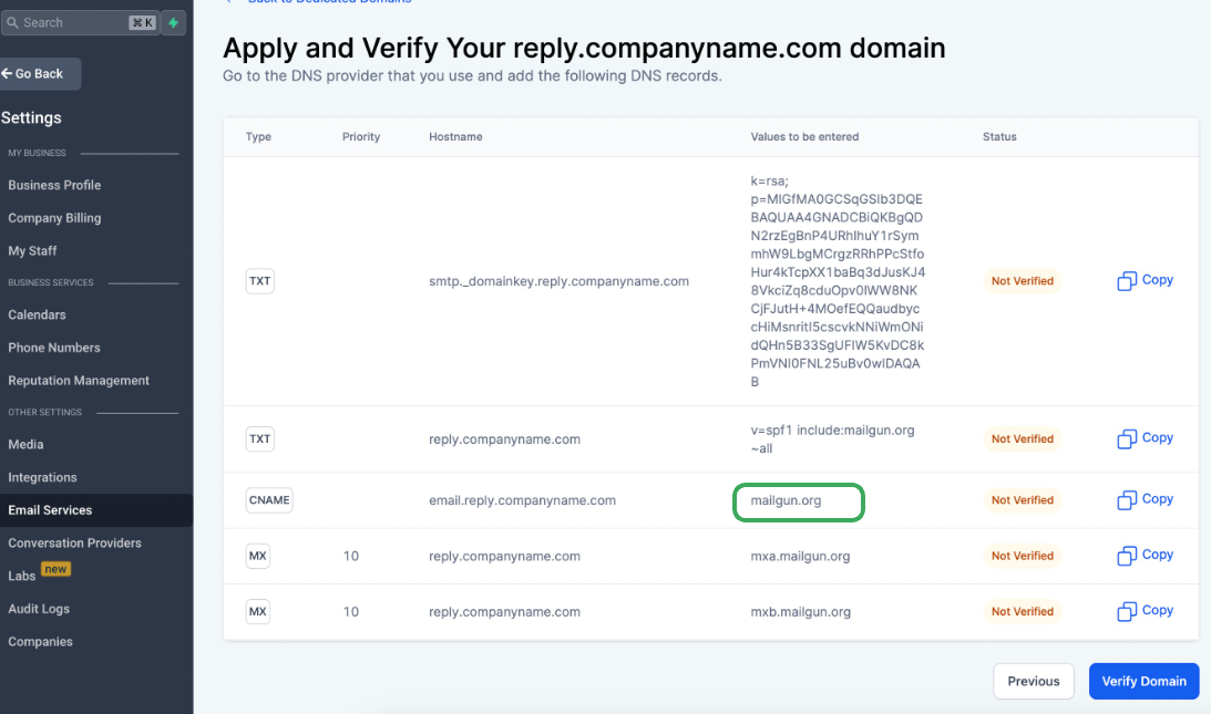 CNAME record fields filled in